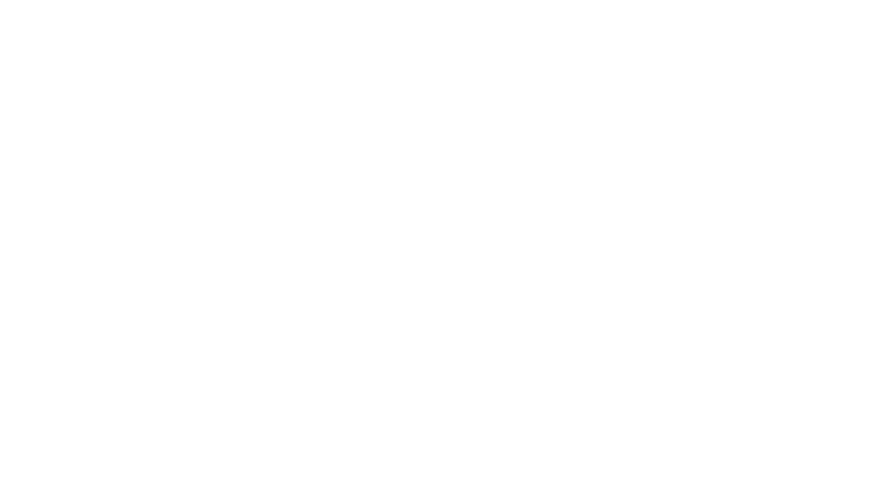 Ferretti